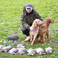 Goshawks - &copy;Dalemews